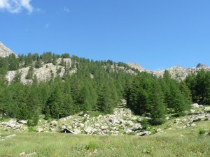 Randonnée dans le Parc